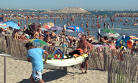 Parasols et crustacés
